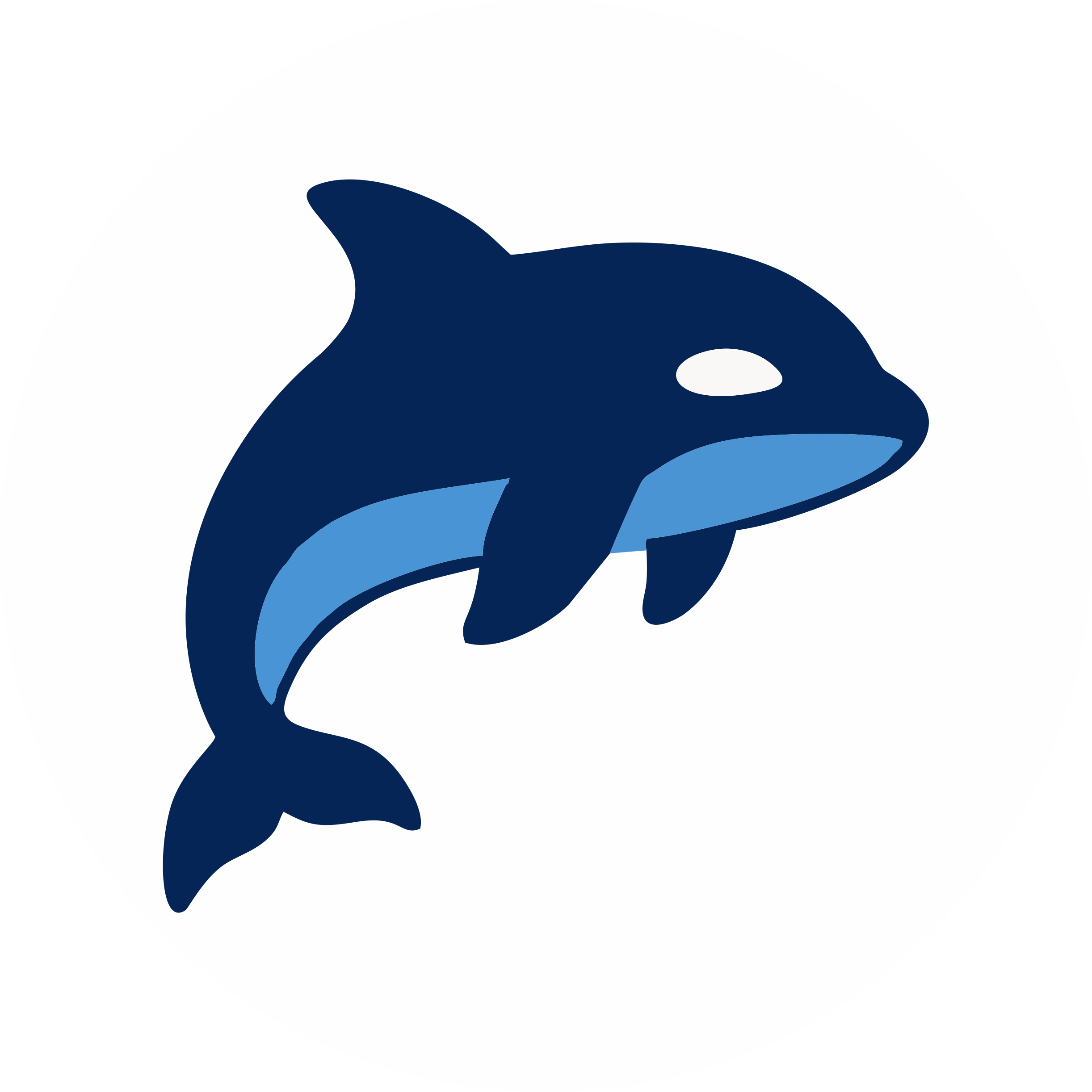 OrcaCostPrint Logo